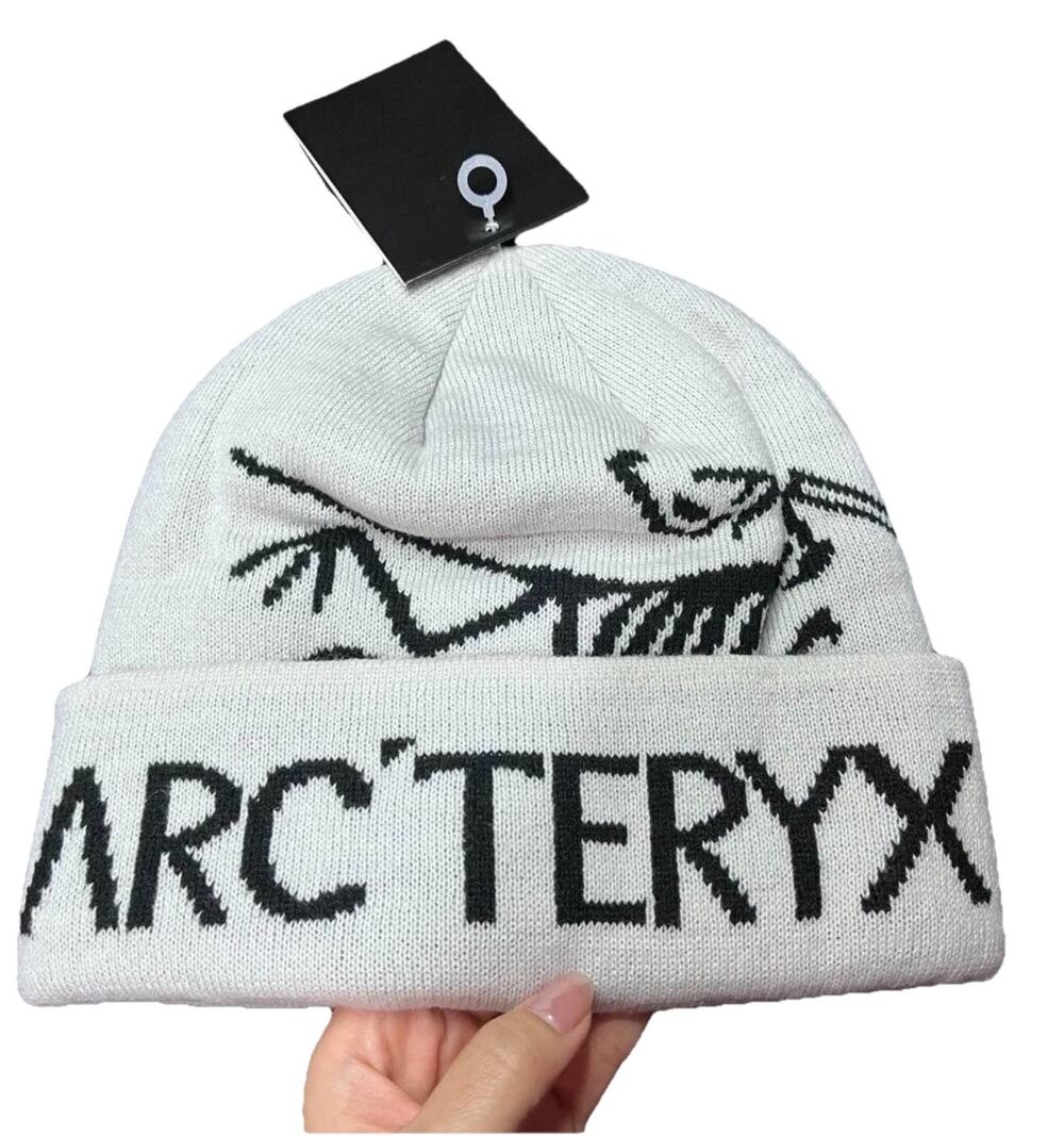 Arc'teryx Bird Word Toque White Orca Beanie Hat – Unisex Outdoor Cap – NWT AQ28